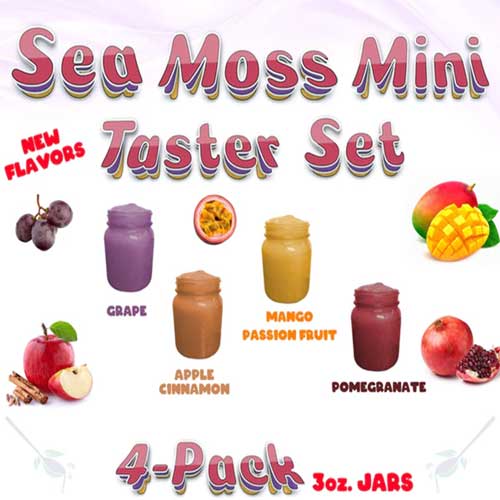Sea Moss Gel - Mini Taster Set (4 pack)